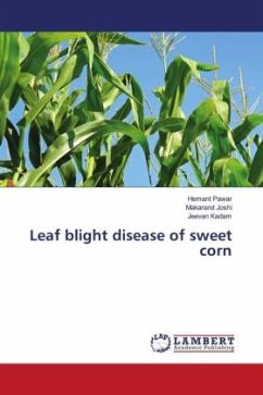 Leaf blight disease of sweet corn