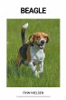 Beagle - Bild 1