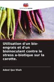 Utilisation d'un bio-engrais et d'un bioinoculant contre le stress a-biotique sur la carotte.