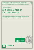 Self-Representation im Common Law (eBook, PDF)