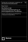 Die Reform der Geldwäschebekämpfung als kriminalpolitisches Paradoxon (eBook, PDF)