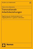 Transnationale Arbeitsbeziehungen (eBook, PDF)