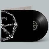 Kaikki Kaikkia Vastaan