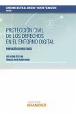Protección civil de los derechos en el entorno digital (eBook, ePUB)