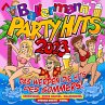 Ballermann Partyhits 2023-Das Werden... - Bild 1