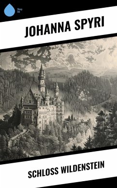 Cover Schloss Wildenstein (eBook, ePUB)