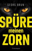 Spüre meinen Zorn (eBook, ePUB)