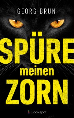 Spüre meinen Zorn (eBook, ePUB) - Brun, Georg