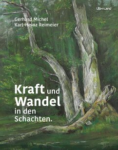 Kraft und Wandel in den Schachten - Michel, Gerhard