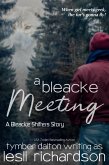 A Bleacke Meeting: A Bleacke Shifters Story (eBook, ePUB)