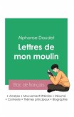 Réussir son Bac de français 2023: Analyse des Lettres de mon moulin de Alphonse Daudet