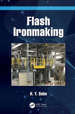 Cover Flash Ironmaking (eBook, PDF)