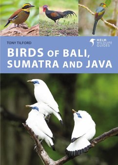 Birds of Bali, Sumatra and Java (eBook, PDF) - Tilford, Tony