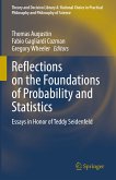 Reflections on the Foundations of Probability and Statistics (eBook, PDF)