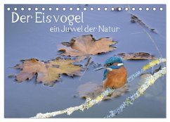 Der Eisvogel, ein Juwel der Natur (Tischkalender 2024 DIN A5 quer), CALVENDO Monatskalender - Rufotos