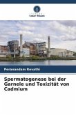 Spermatogenese bei der Garnele und Toxizität von Cadmium