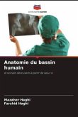 Anatomie du bassin humain
