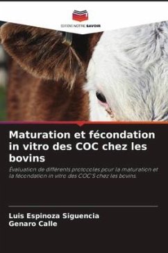 Maturation et fécondation in vitro des COC chez les bovins - Espinoza Siguencia, Luis;Calle, Genaro