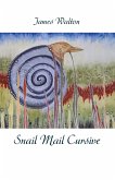 Snail Mail Cursive