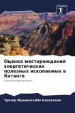 Ocenka mestorozhdenij änergeticheskih poleznyh iskopaemyh w Katange