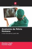 Anatomia da Pélvis Humana