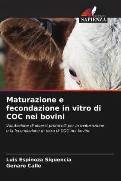 Maturazione e fecondazione in vitro di COC nei bovini - Espinoza Siguencia, Luis;Calle, Genaro