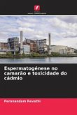 Espermatogénese no camarão e toxicidade do cádmio