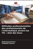 Attitudes professionnelles des professionnels de l'informatique envers les TIC : état des lieux