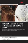 Maturation and in vitro fertilization of COC'S in cattle.