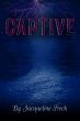 Captive (eBook, ePUB) - Bild 1