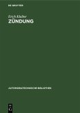 Zündung (eBook, PDF)