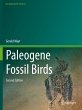 Paleogene Fossil Birds - Bild 1