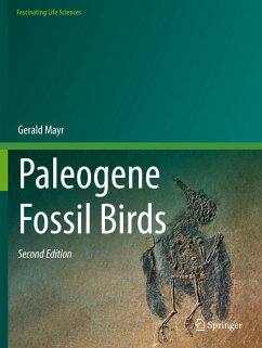 Paleogene Fossil Birds - Mayr, Gerald