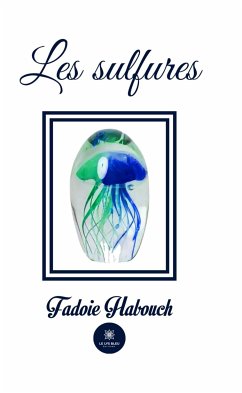 Les sulfures (eBook, ePUB) - Habouch, Fadoie