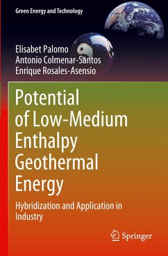 Potential of Low-Medium Enthalpy Geothermal Energy - Palomo, Elisabet;Colmenar-Santos, Antonio;Rosales-Asensio, Enrique