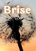Brise (eBook, ePUB)
