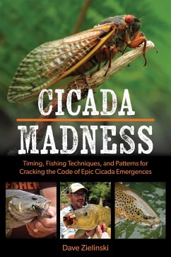 Cover Cicada Madness
