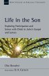 Life in the Son - Bild 1