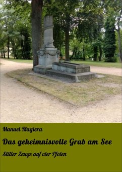 Das geheimnisvolle Grab am See (eBook, ePUB) - Magiera, Manuel