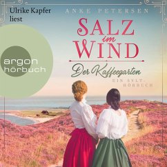 Salz im Wind - Ein Sylt-Roman (MP3-Download) - Petersen, Anke