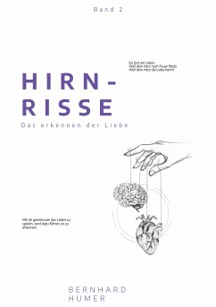 Hirnrisse (eBook, ePUB)