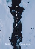 Meltwater (eBook, ePUB)