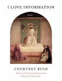 I Love Information (eBook, ePUB)