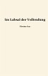 Im Labsal der Vollendung (eBook, ePUB) - Bild 1