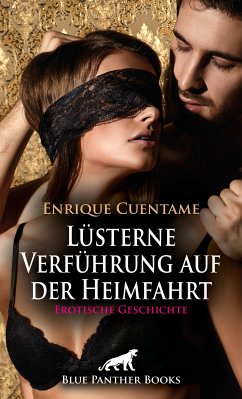 Lüsterne Verführung auf der Heimfahrt   Erotische Geschichte (eBook, PDF) - Cuentame, Enrique