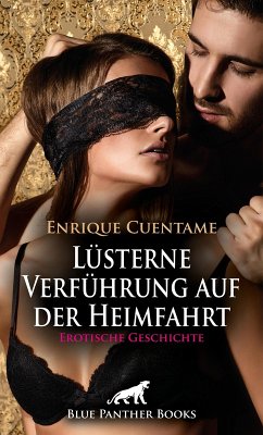 Cover Lüsterne Verführung auf der Heimfahrt   Erotische Geschichte (eBook, ePUB)