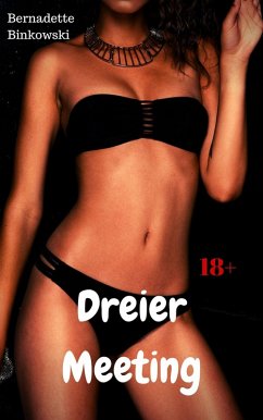 Cover Dreier Meeting (eBook, ePUB)