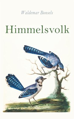 Himmelsvolk (eBook, ePUB) Cover Himmelsvolk (eBook, ePUB)