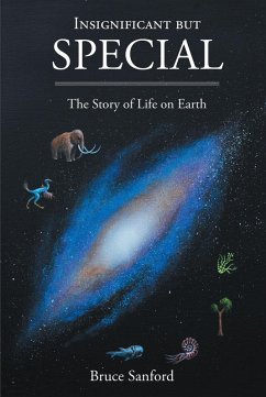 Cover Insignificant but Special (eBook, ePUB)