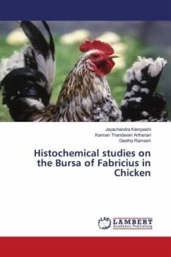 Histochemical studies on the Bursa of Fabricius in Chicken
